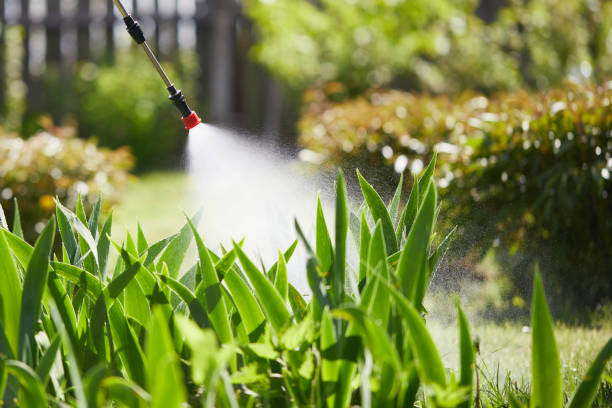 24/7 Emergency Wasp Removal experts in McPherson, KS