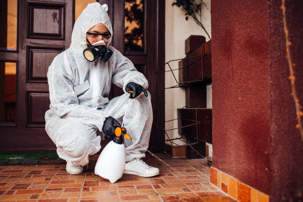 Reliable Wasp Removal contractor in McPherson, KS by Show Me Pest Control