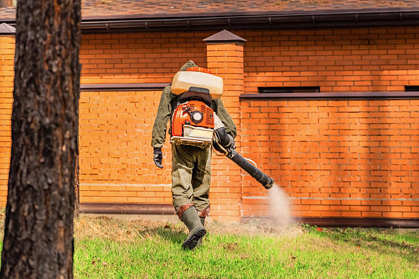 Top rated local Wasp Removal specialists in McPherson, KS